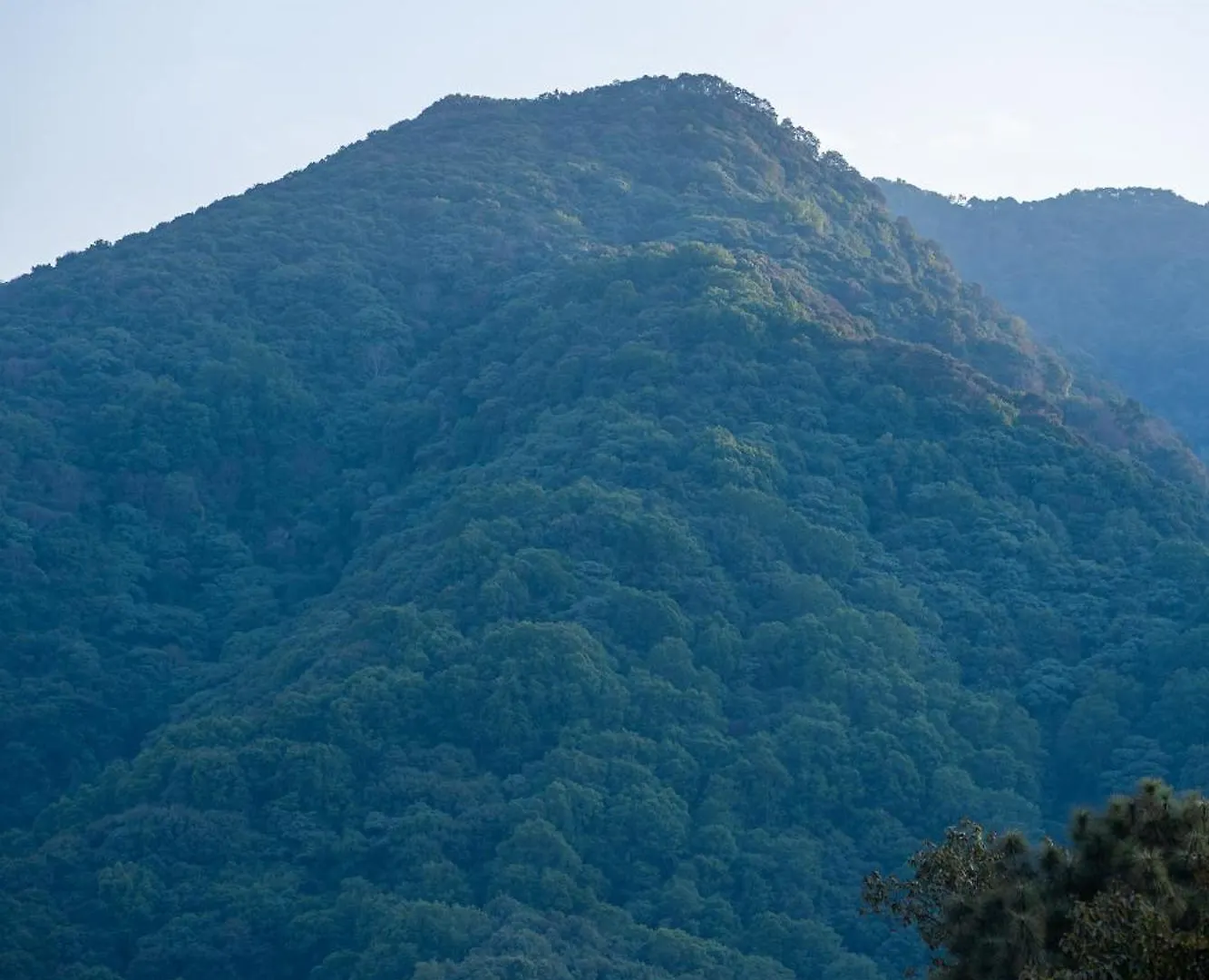 Hotel Monalisa Kathmandu - Embrace Tranquility Natures Retreat Beyond The City Nepal